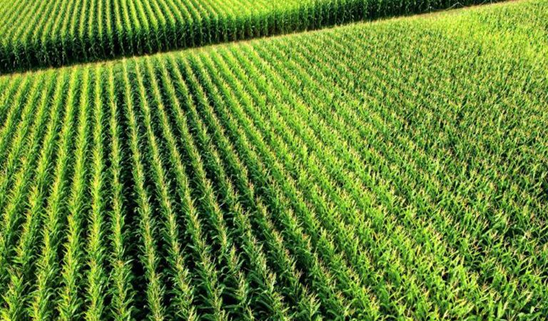 ДО УВАГИ ЖИТЕЛІВ ЯМНИЦЬКОЇ ОТГ