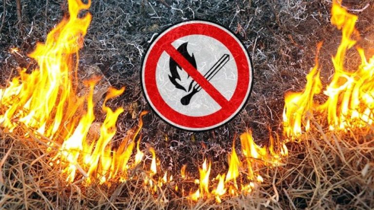 ДО ВІДОМА АГРОПІДПРИЄМСТВ, ФЕРМЕРІВ ТА НАСЕЛЕННЯ!