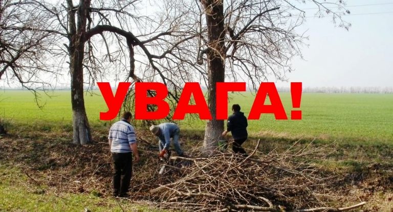 ПРОСИМО ДОТРИМУВАТИСЬ ПРАВИЛ БЛАГОУСТРОЮ БІЛЯ ДОМОВОЛОДІНЬ