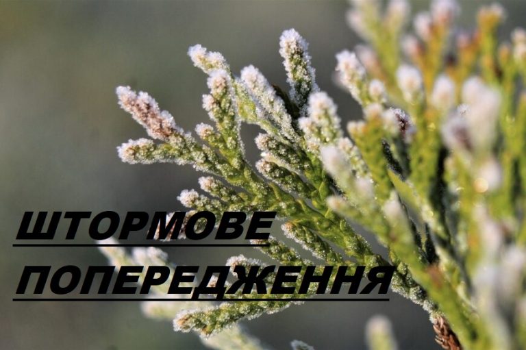 ШТОРМОВЕ (МЕТЕО) ПОПЕРЕДЖЕННЯ
