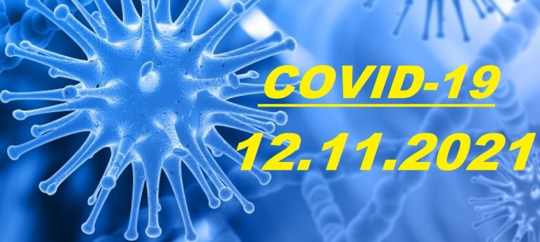 COVID-19 У ЯМНИЦЬКІЙ ГРОМАДІ СТАНОМ НА 12.11.2021