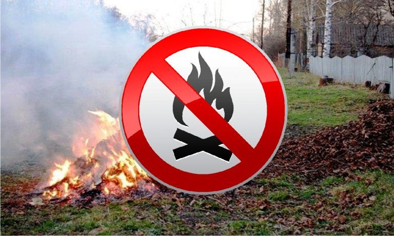 ДО УВАГИ ПАЛІЇВ І ПОРУШНИКІВ ПРАВИЛ БЛАГОУСТРОЮ!