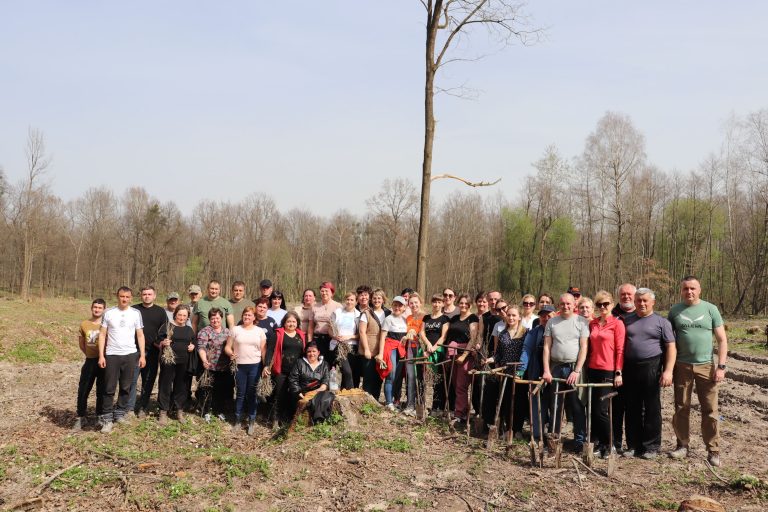 ВИСАДКА САДЖАНЦІВ ДЕРЕВ У ЯМНИЦЬКОМУ ЛІСНИЦТВІ